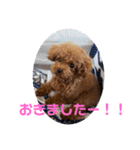 虎太郎のあいさつ！（個別スタンプ：9）