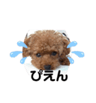 虎太郎のあいさつ！（個別スタンプ：11）