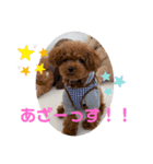虎太郎のあいさつ！（個別スタンプ：15）