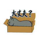 くまという名のねこ（個別スタンプ：14）