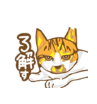 meow meow meow cats（個別スタンプ：1）
