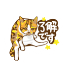 meow meow meow cats（個別スタンプ：2）