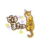 meow meow meow cats（個別スタンプ：7）