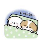 ちゃんぽこ（個別スタンプ：6）