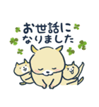 ほんわか丁寧あいさつ＊ねこかめ時々くま（個別スタンプ：28）