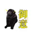 わんぱくわんにゃん物語。（個別スタンプ：6）