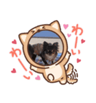 あんこちゃんのスタンプ3（個別スタンプ：4）