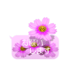 スマホの上の花と風《Ver. 06》（個別スタンプ：5）