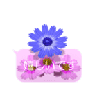 スマホの上の花と風《Ver. 06》（個別スタンプ：13）