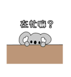 コアラディンディン 中国語（個別スタンプ：19）