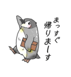 ペンギンさんのすたんぷ（個別スタンプ：17）