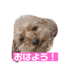 チェリーさん＆レモンくん（個別スタンプ：2）