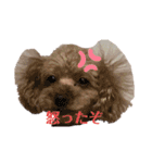 チェリーさん＆レモンくん（個別スタンプ：5）