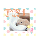 チェリーさん＆レモンくん（個別スタンプ：8）