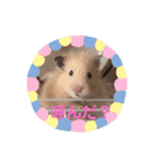 チェリーさん＆レモンくん（個別スタンプ：14）