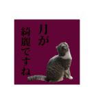 Glico  〜complete ver.〜（個別スタンプ：10）