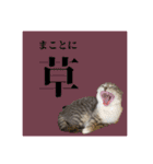 Glico  〜complete ver.〜（個別スタンプ：13）