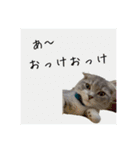 Glico  〜complete ver.〜（個別スタンプ：14）