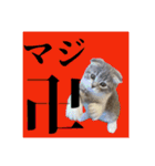 Glico  〜complete ver.〜（個別スタンプ：20）