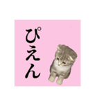 Glico  〜complete ver.〜（個別スタンプ：21）