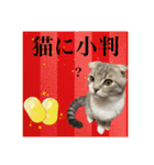 Glico  〜complete ver.〜（個別スタンプ：34）