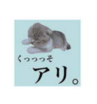 Glico  〜complete ver.〜（個別スタンプ：39）