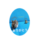 わがやのチョコミント（個別スタンプ：27）