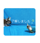 わがやのチョコミント（個別スタンプ：30）