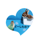 わがやのチョコミント（個別スタンプ：31）