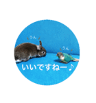 わがやのチョコミント（個別スタンプ：32）