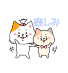 ねこちゃん❤️【挨拶】（個別スタンプ：9）