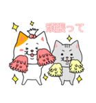 ねこちゃん❤️【挨拶】（個別スタンプ：13）