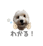 マルックスのバロンくん 4（個別スタンプ：14）