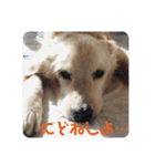 楽しい犬です（個別スタンプ：26）