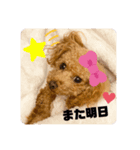壱様②（個別スタンプ：2）