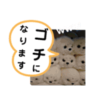 たけしのスタンプ その17（個別スタンプ：1）