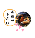 たけしのスタンプ その17（個別スタンプ：3）