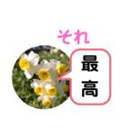 たけしのスタンプ その17（個別スタンプ：4）