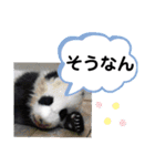 たけしのスタンプ その17（個別スタンプ：6）