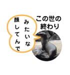 たけしのスタンプ その17（個別スタンプ：10）