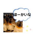 たけしのスタンプ その17（個別スタンプ：14）