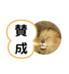 たけしのスタンプ その17（個別スタンプ：16）