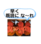 たけしのスタンプ その17（個別スタンプ：20）