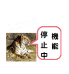 たけしのスタンプ その17（個別スタンプ：22）