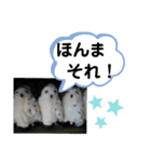 たけしのスタンプ その17（個別スタンプ：24）