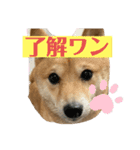 yasu1022（個別スタンプ：9）