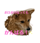 yasu1022（個別スタンプ：10）