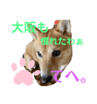 yasu1022（個別スタンプ：16）