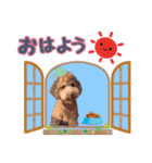 ♡♡♡いろはスタンプ♡♡♡（個別スタンプ：2）