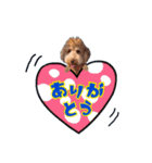 ♡♡♡いろはスタンプ♡♡♡（個別スタンプ：3）